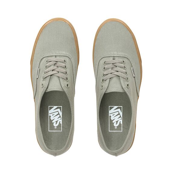 Boty Vans AUTHENTIC Laurel Oak/Gum